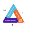 24 PDUs | Risk management in depth - Image 2