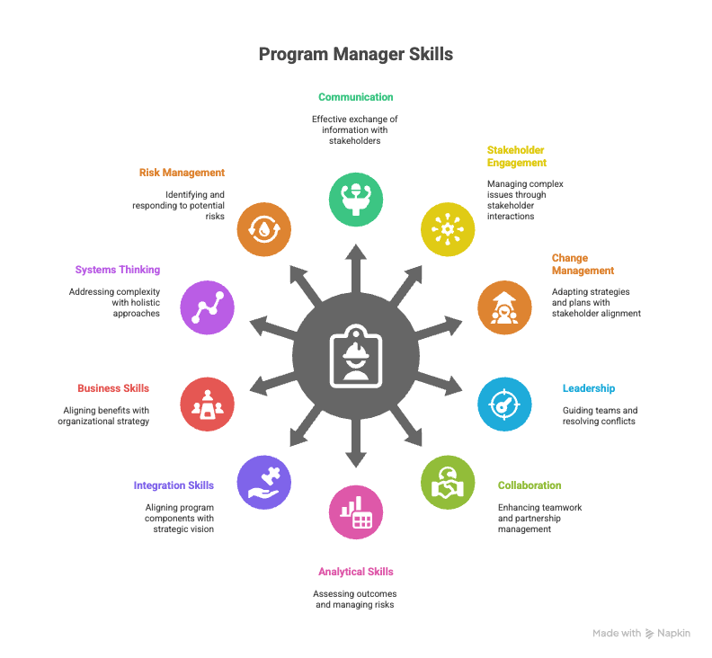 PROGRAM MANAGER COMPETENCIES visual selection